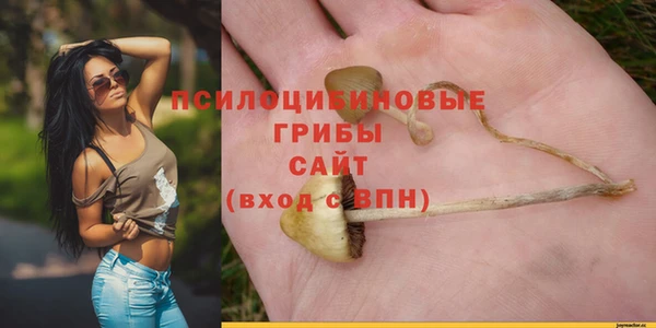 марихуана Абаза