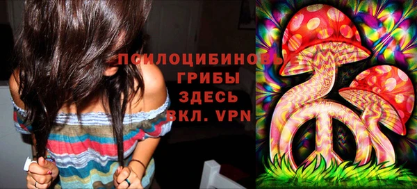 крисы Абинск