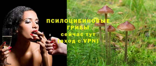крисы Абинск